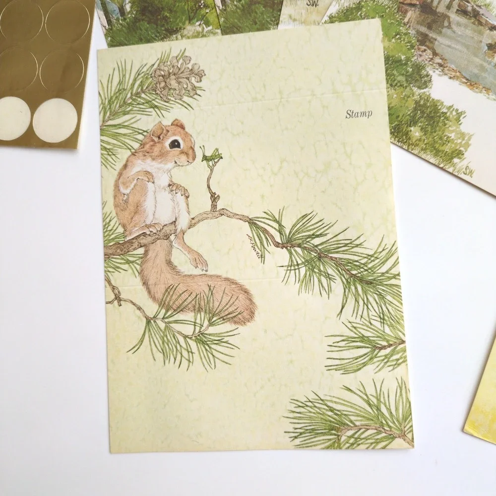 Vtg Current Just a Note Folding Postcards Nature Animal Bunny Squirrel Seals